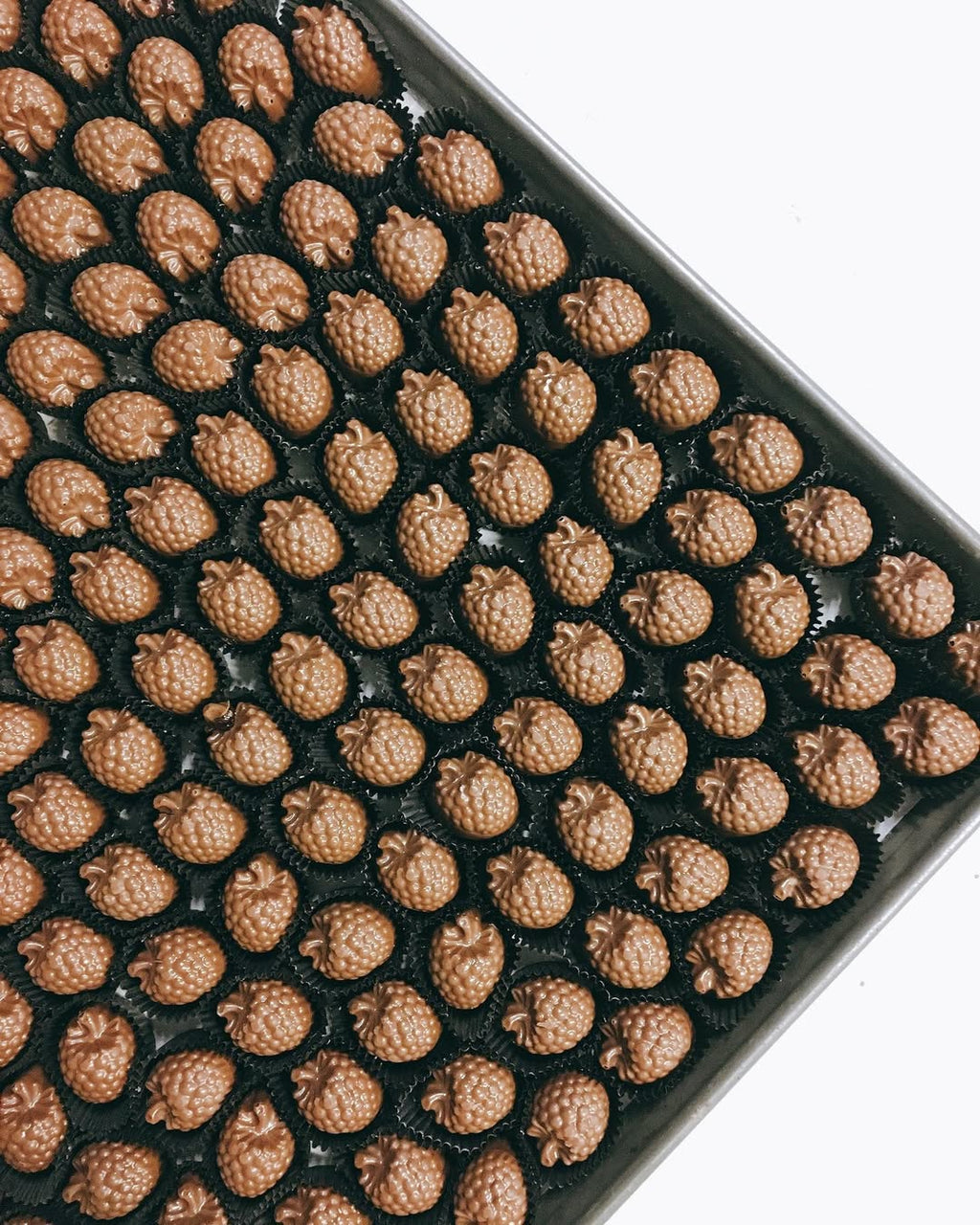 Truffle Collection