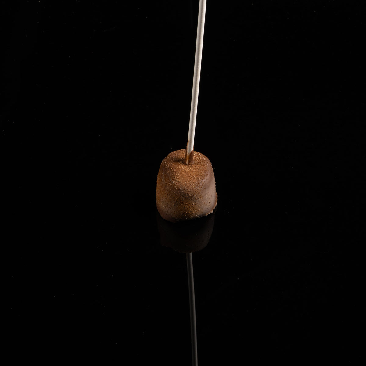 Chocolate Dipped Marshmallows
