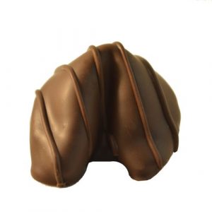 Chocolate Dipped Fortune Cookie