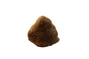 Roasted Hazelnut Cluster