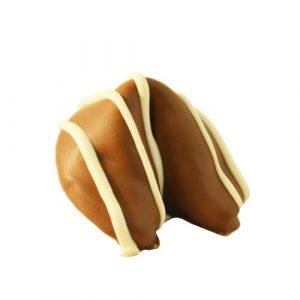 Chocolate Dipped Fortune Cookie